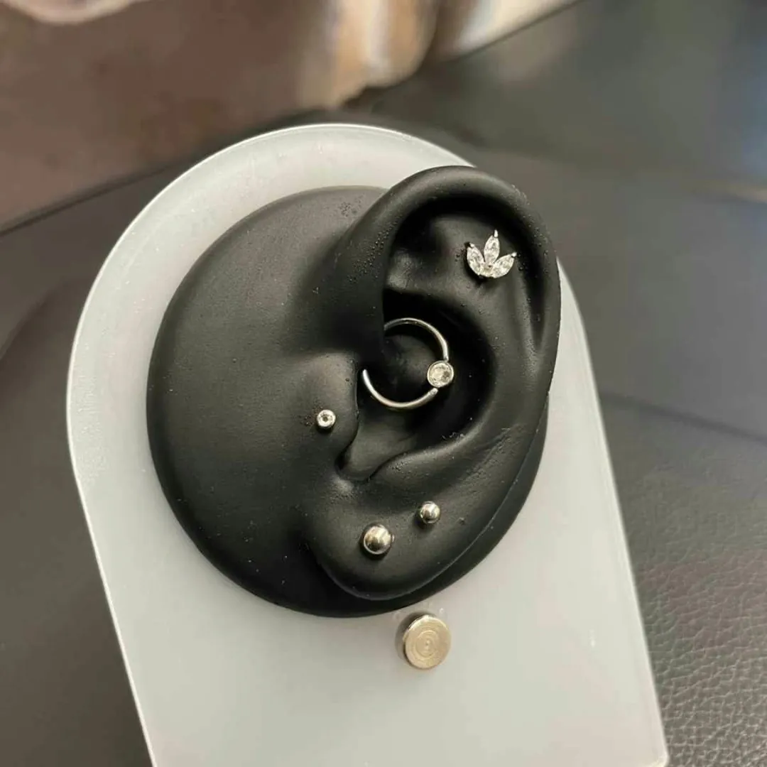 Mehrfach gepiercte Ohrmuschel mit Titanstecker